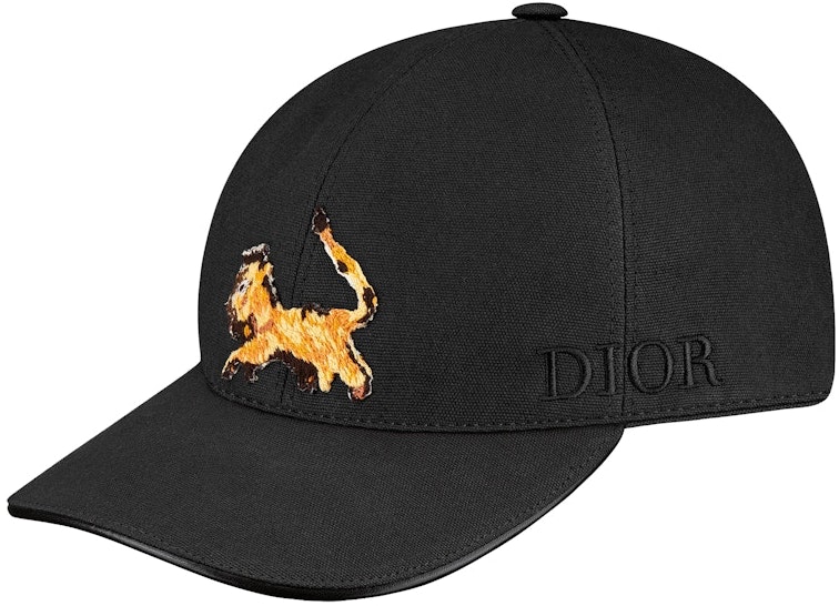 dior-x-peter-doig-baseball-cap-black