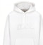 Sizing DIOR x Peter Doig FW21 Logo Embroidered Pullover Hoodie Edition. 143J683B0531-C980