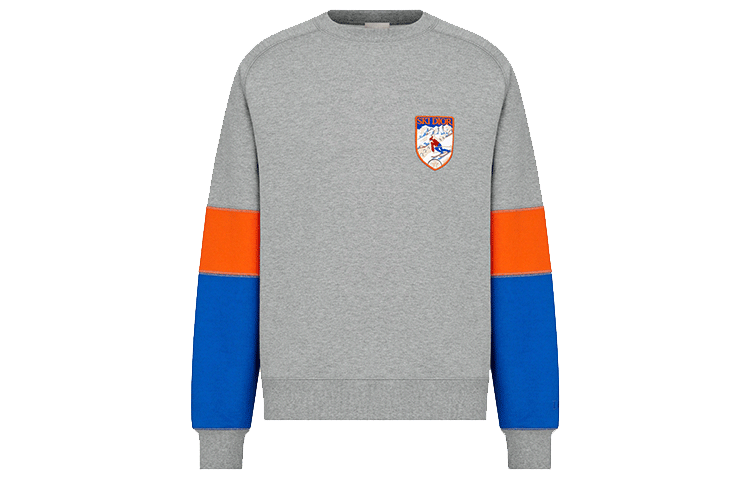 DIOR PETER DOIG Oversized Colorblock Sweatshirt Grey 213J650A0531-C885