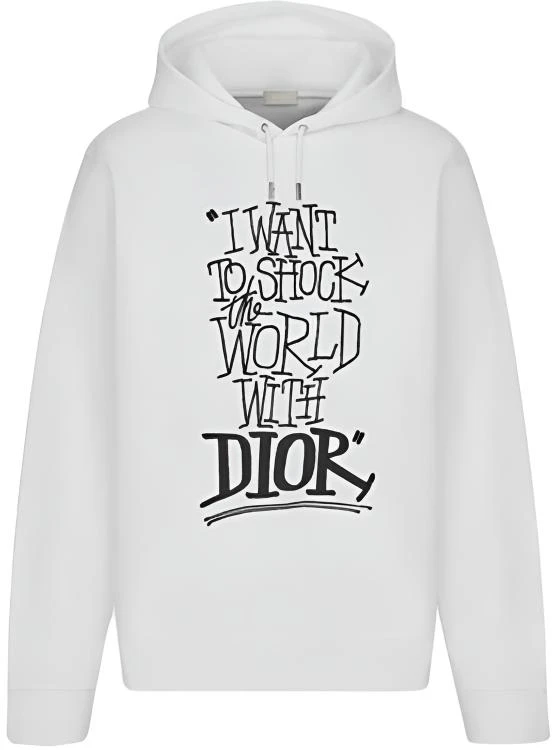dior-x-shawn-stussy-oversized-logo-print-hoodie-white-mens-033-j646-a0531-c089