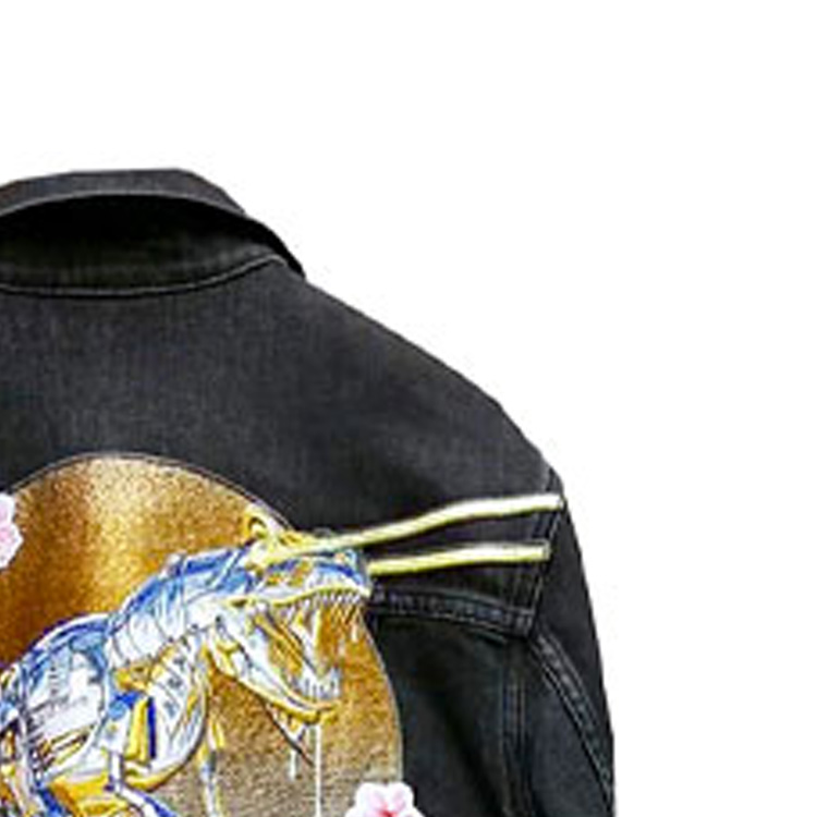 Details for Chaqueta vaquera negra Dior x Sorayama Dinosaurio Floral bordado para hombre. 933D482D087X-881