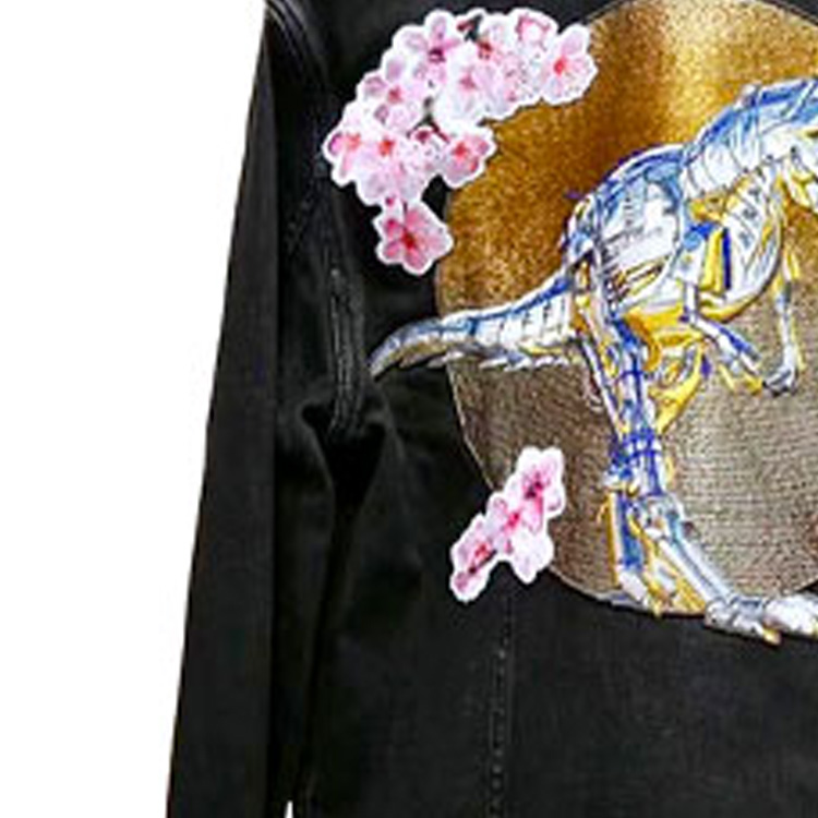 Sizing Chaqueta vaquera negra Dior x Sorayama Dinosaurio Floral bordado para hombre. 933D482D087X-881