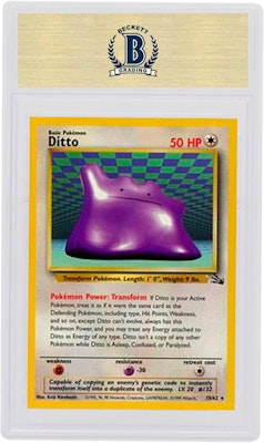 Ditto, Fossil