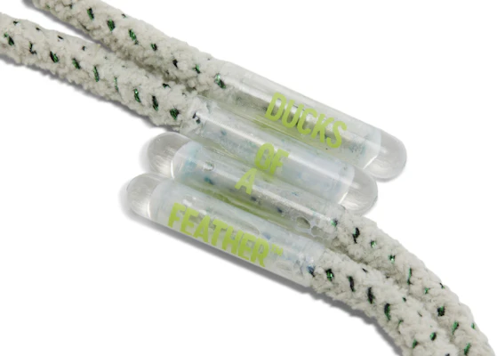 Division Street x Nike Air Max 95 BB DOAF Oregon PE 'The Woods' IQ3986-300 1