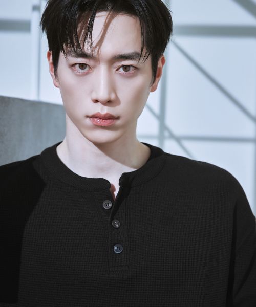 Order DRAW FIT Waffle Henley Neck Half T-Shirt [Black] DFTS5211BK