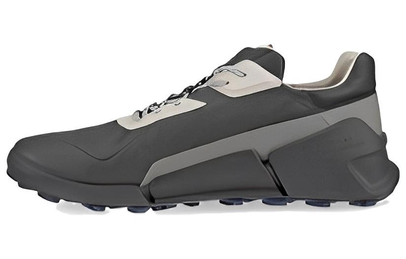 ECCO Biom 2.1 'Grey'