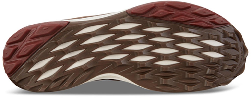 ECCO BIOM HYBRID 3 GTX 'Camel' 15580401034 Purchase ECCO BIOM HYBRID 3 GTX 'Camel' 15580401034