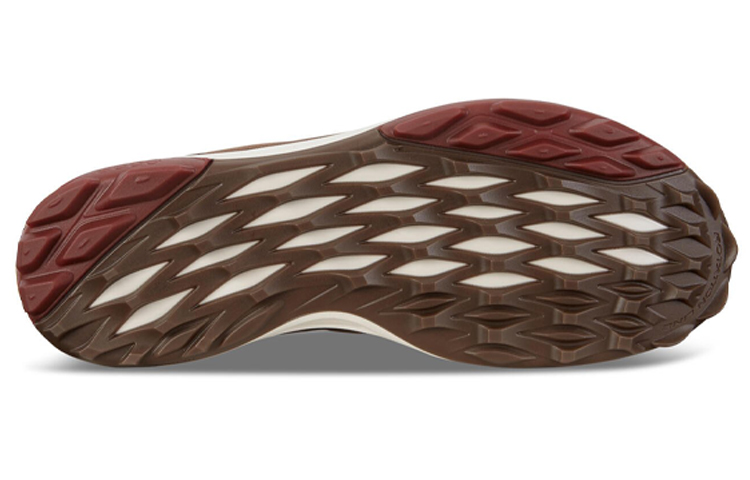 Purchase ECCO BIOM HYBRID 3 GTX 'Camel' Pria Golf Sepatu 15580401034