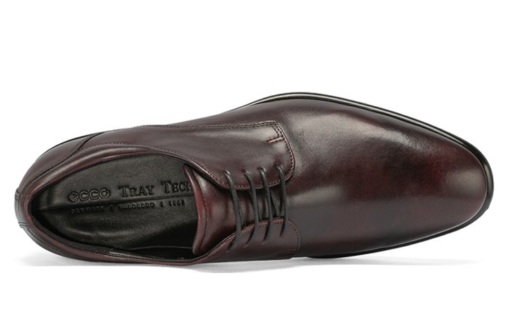 Shop ecco愛步 皮革 舒適系帶 正裝皮鞋 男款 深酒紅