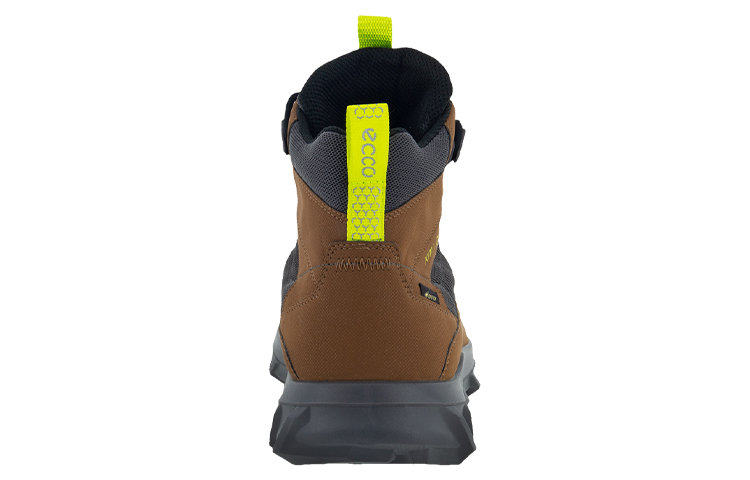Shop ECCO MX GTX 'Cuero Marrón Confort' 82022460247