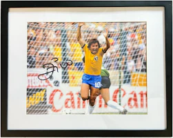 EM Collectibles Zico Signed Brazil 1982 World Cup Photo Soccer Fan Collectible. EXC3081 EM Collectibles Zico Signed Brazil 1982 World Cup Photo Soccer Fan Collectible. EXC3081