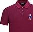 Cheap エンポリオアルマーニ イーグルロゴ刺繍入りポロシャツ ワインレッド 6L1FD7-1JTKZ-0397