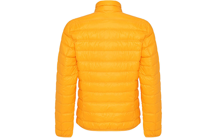Lookbook Emporio Armani EA7  Lightweight Slim Fit Down Jacket Orange FW22. 8NPB01-PN29Z-1629