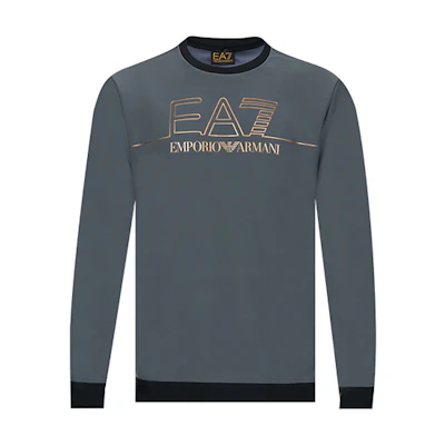 Emporio Armani EA7 Gray Logo Print Crewneck Long-Sleeve Sweatshirt 6KPM38-PJCCZ-1977