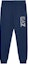 Order Emporio Armani EA7 SS22 Logo Jogger Sweatpants Blue 3LPP53-PJ05Z-1554