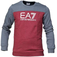 Emporio Armani EA7 SS23 Kids Logo Print Crewneck Pullover Sweatshirt - Colorblock 6ZBM59-BJ07Z-3405 Emporio Armani EA7 SS23 Kids Logo Print Crewneck Pullover Sweatshirt - Colorblock 6ZBM59-BJ07Z-3405