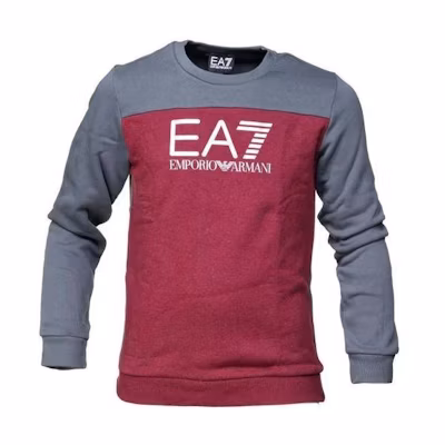 Emporio Armani EA7 SS23 Kids Logo Print Crewneck Pullover Sweatshirt - Colorblock 6ZBM59-BJ07Z-3405