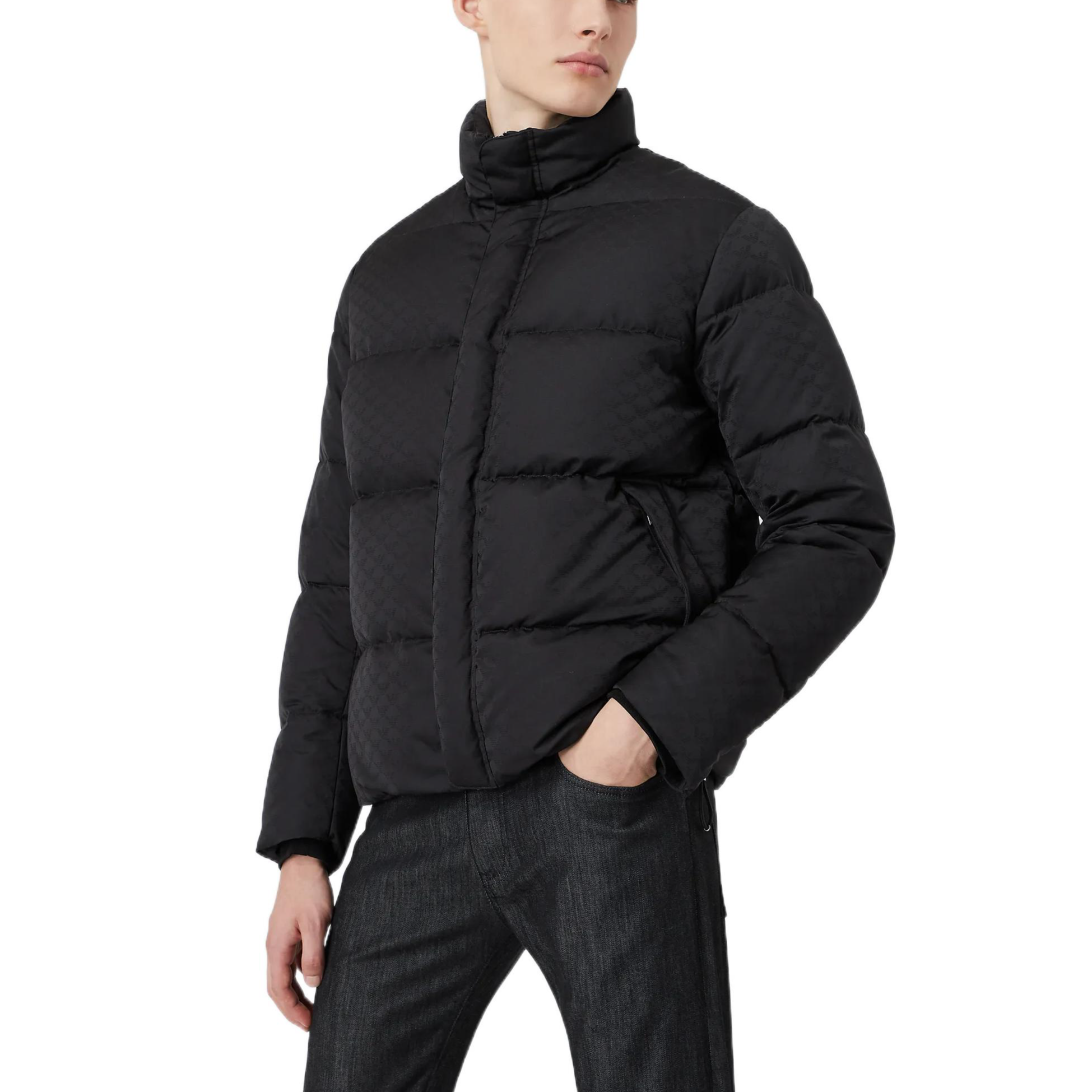 Details for エンポリオ アルマーニ FW22 ブラック ダウンジャケット スリムフィット 長袖 8N1BN31-NHQZ1-F046