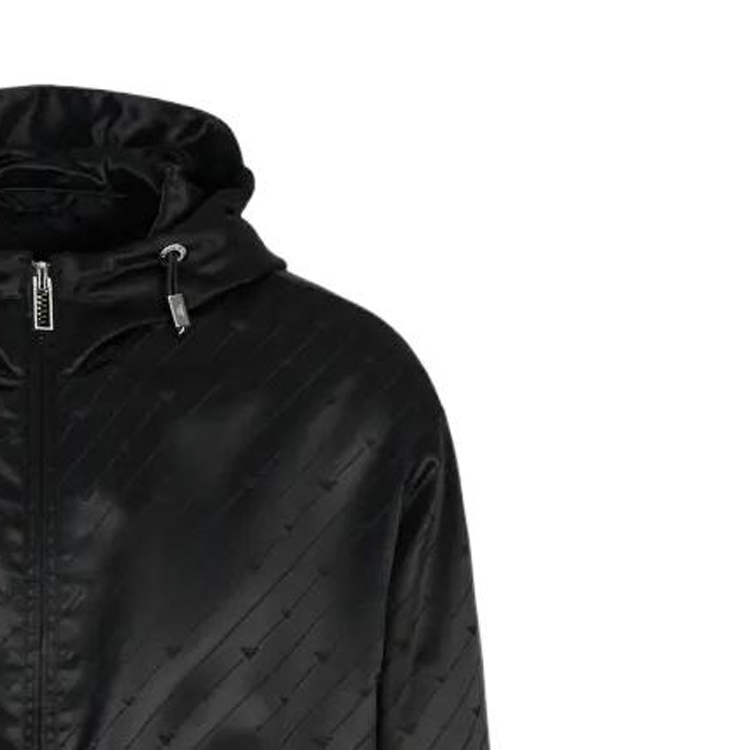 EMPORIO ARMANI FW22  Solid Eagle Logo Navy Hooded Zip Jacket 6L1BL3-1NLBZ-F912 圖 7
