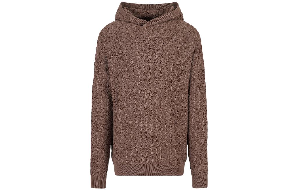 Emporio Armani SS23 Textured Wave Pattern Brown Hoodie for Men 3R1MXR1-MFQZ1-F406