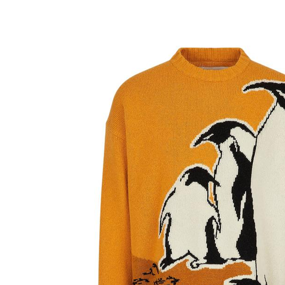 Details for エンポリオアルマーニ サステナブル ペンギン ニットセーター イエロー 秋冬モデル 6L1MZA-1M5FZ-F203