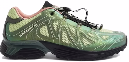 END. x Salomon XT-Whisper Void ''Alpukat'' L49170300 Buy END. x Salomon XT-Whisper Void ''Alpukat'' L49170300