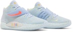 Cheap Enspire x Nike KD 14 'Friends & Family - Azul Marino Claro' DV2098-500