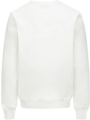 EVISU AW22海鸥图案套头卫衣 0ELBSM0SW321XXCT Lookbook EVISU AW22海鸥图案套头卫衣 0ELBSM0SW321XXCT