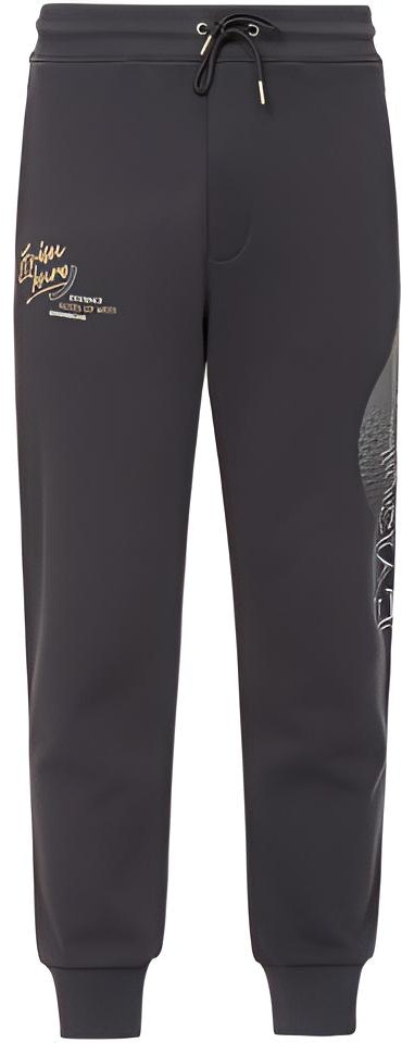 evisu-aw-23-multi-logo-print-mid-waist-casual-sweatpants-deep-gray-men-s-2-eagnm-3-sp-5903-xxct