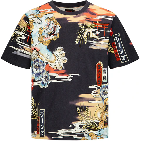 evisu-fukujin-komainu-retro-print-graphic-tee-colorful-t-shirt-2-eshtm-2-ts-501-xxct