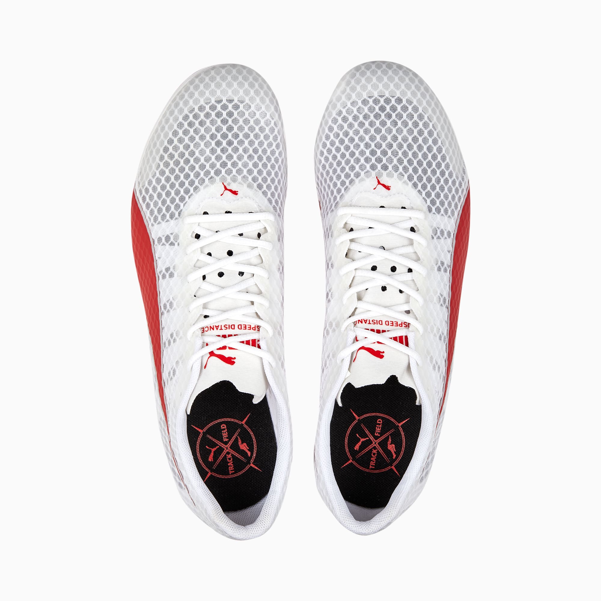 Details for EvoSpeed Distance 11 Clavos de Atletismo y Pista. 377961-03