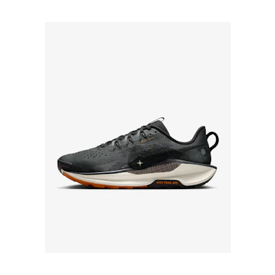 Exclusive Nike Pegasus Trail 5