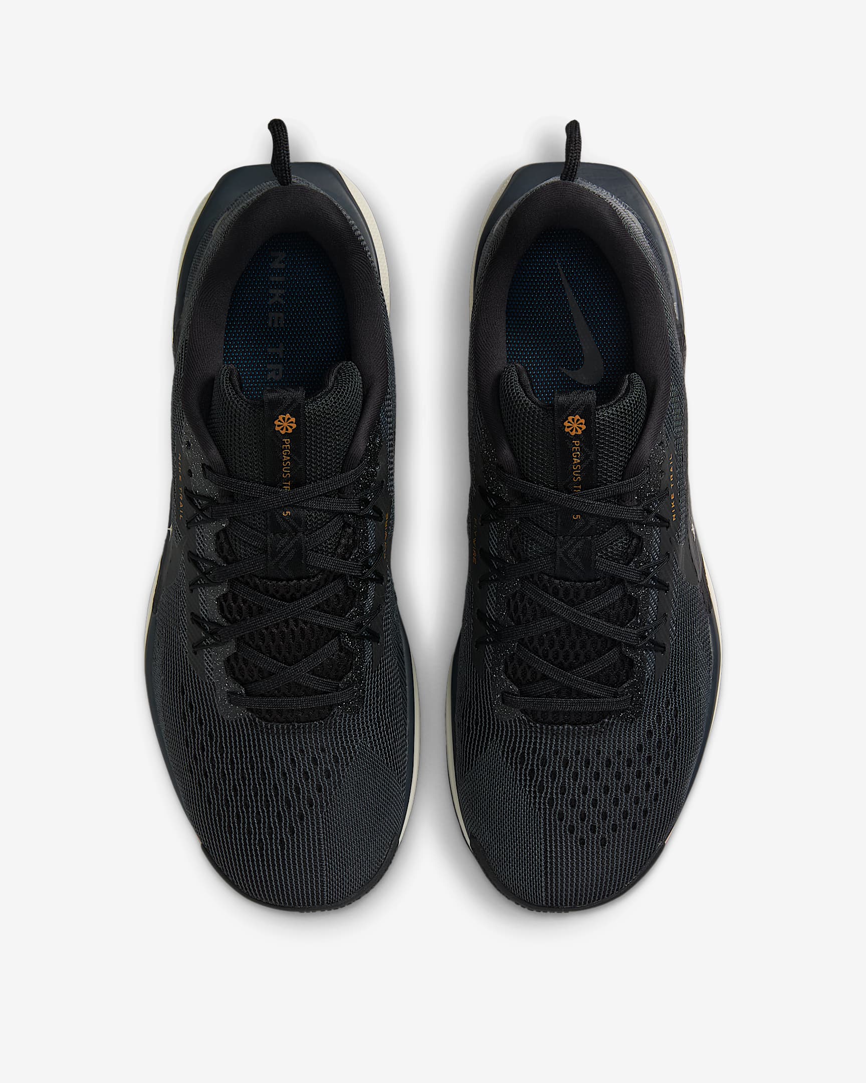 Purchase Kasut Eksklusif Nike Pegasus Trail 5 DV3864-006