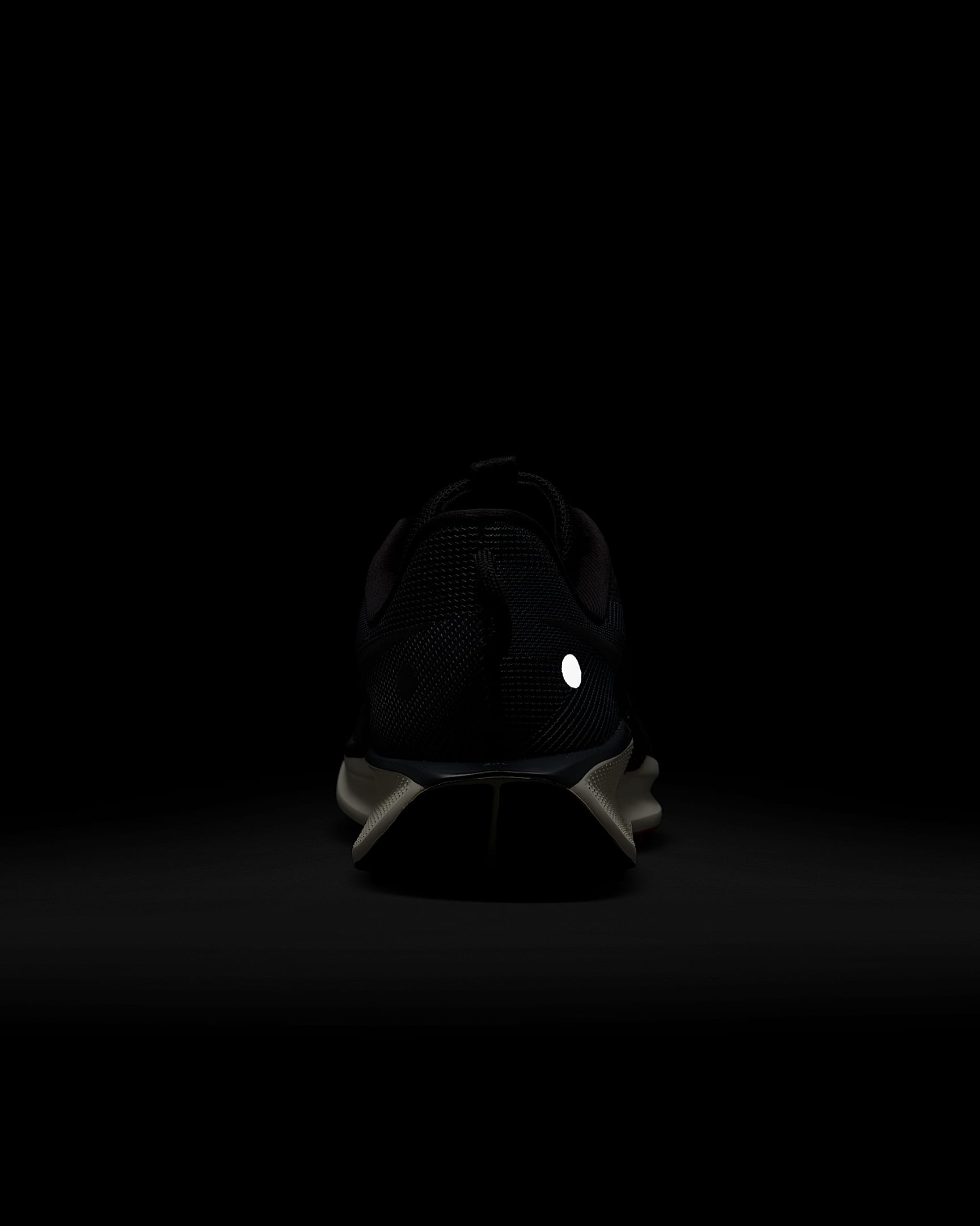 Exclusive Nike Pegasus Trail 5 圖 9