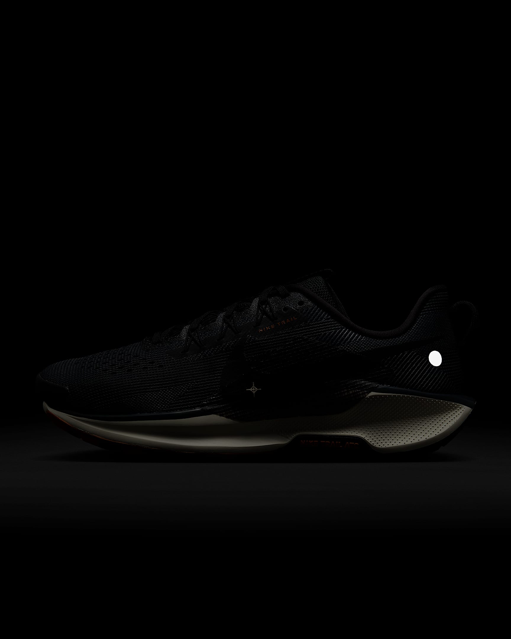 Exclusive Nike Pegasus Trail 5 圖 10