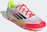 Purchase Kasut Bola F50 Club FG/MG IE1243