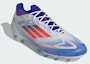 Purchase Kasut Bola Sepak Rumput Tiruan F50 Elite AG IF1309