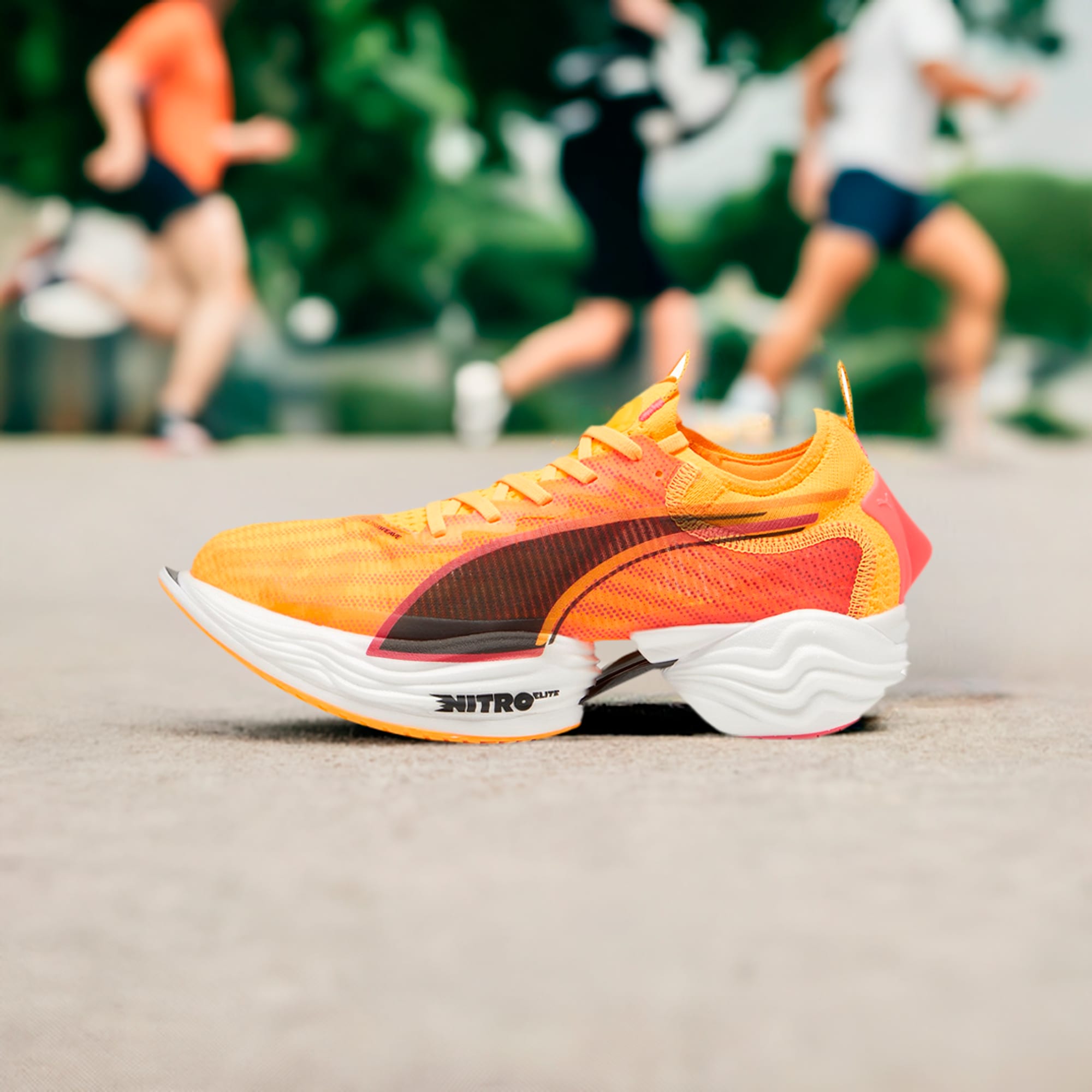 Purchase Zapatillas de Running FAST-R Nitro Elite 2 FIRE. 310217-01
