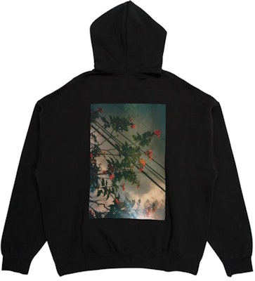 Fear of God ESSENTIALS Photo Hoodie Order Fear of God ESSENTIALS Photo Hoodie