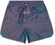 Buy Fear of God ESSENTIALS Volley Shorts Iridescent
