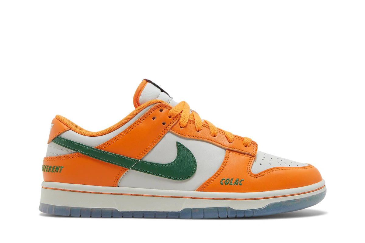 Florida A&M University x Nike Dunk Low 'We Bragg Different' DR6188-800