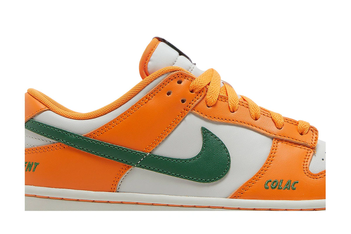 Florida A&M University x Nike Dunk Low 'We Bragg Different' DR6188-800