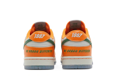 Florida A&M University x Nike Dunk Low 'We Bragg Different' DR6188-800