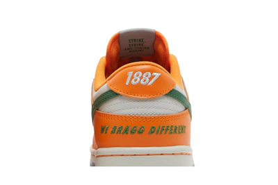 Florida A&M University x Nike Dunk Low 'We Bragg Different' DR6188-800