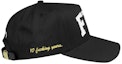 Order FTP Arch 5 Panel Black
