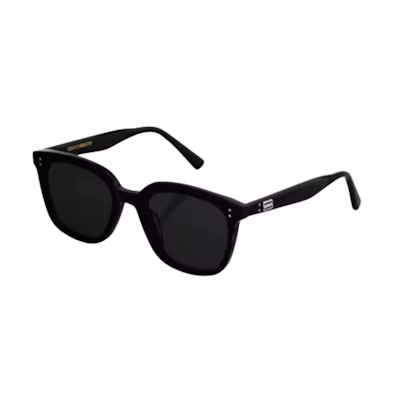 GENTLE MONSTER Butterfly Sunglasses Black/Beige/Green/Black 101251242