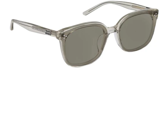 GENTLE MONSTER Gray Butterfly Sunglasses Unisex Couple Style with Logo Temples. by-brc11 Shop GENTLE MONSTER Gray Butterfly Sunglasses Unisex Couple Style with Logo Temples. by-brc11