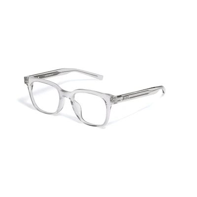Gentle Monster Transparent Grey Irregular Optical Glasses Unisex Couple Design. EVAN-GC7