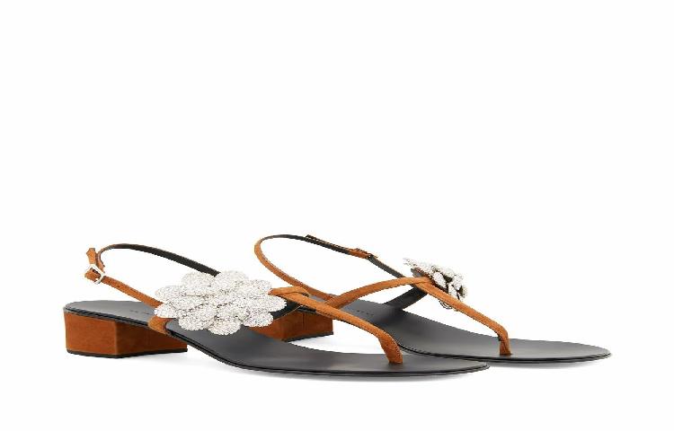 Giuseppe Zanotti 'Brown PRE_E000154003' 圖 2