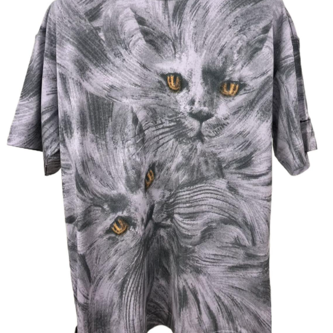 GIVENCHY FW24 Printed Crewneck Short Sleeve T-Shirt Men’s Grey BM71JA3YNP-960 圖 4